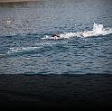 Comen Cup 2009 459